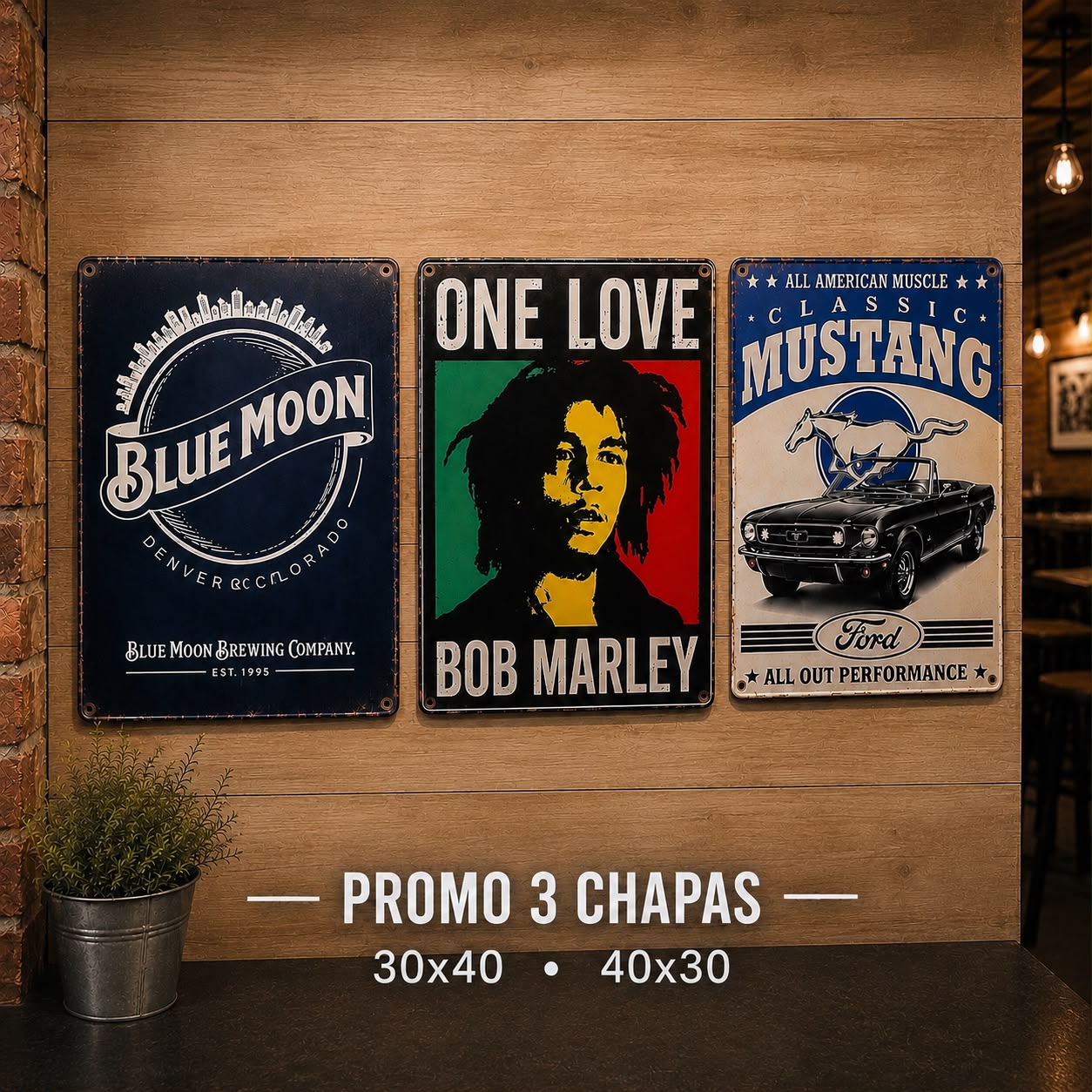 Promo 3 Chapas 30x40 40x30